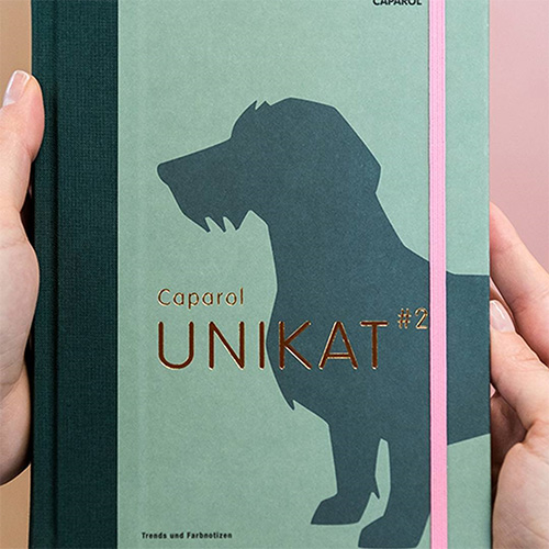 Caparol Trends 2018 UNIKAT#2 Caparol Trends 2018 UNIKAT#2