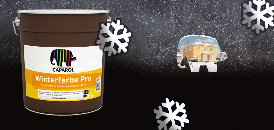 snowflake_winterfarbe_pro_2.jpg
