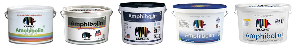 Evolution of Amphibolin